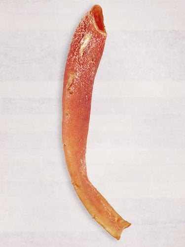 Beef Aorta - Bulk Chew - All-Natural Dog Treats